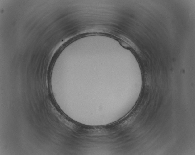 X0000073460980200608251727