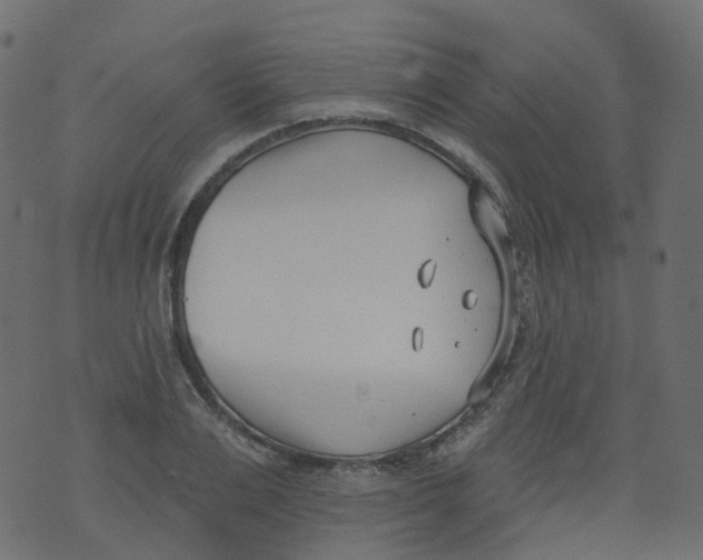 X0000073460983200608251727