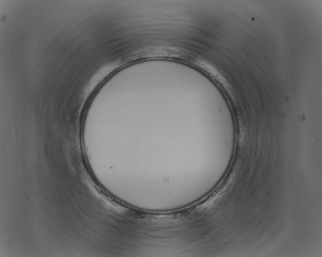 X0000073460986200608251727