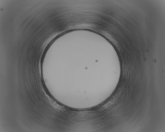 X0000073460988200608251727