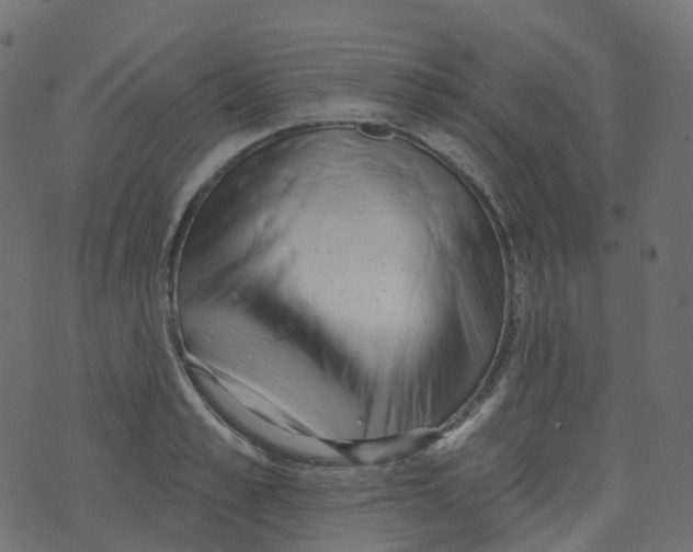 X0000073460989200608251727