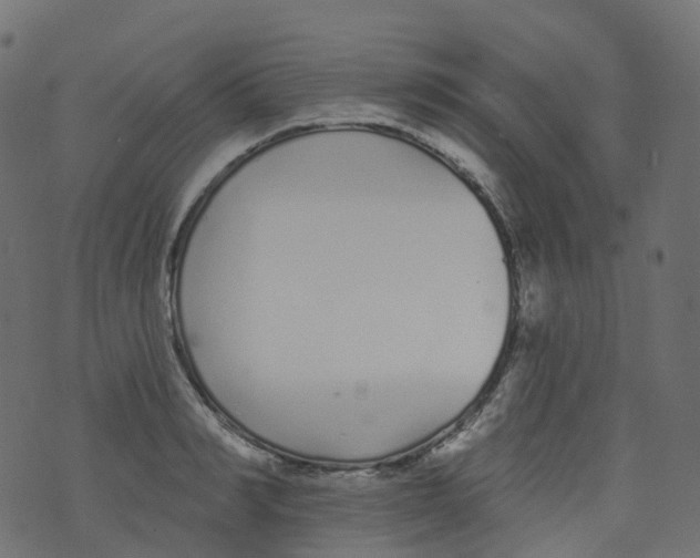 X0000073460990200608251727