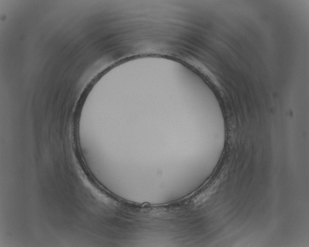 X0000073460991200608251727