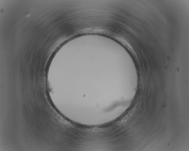 X0000073460992200608251727