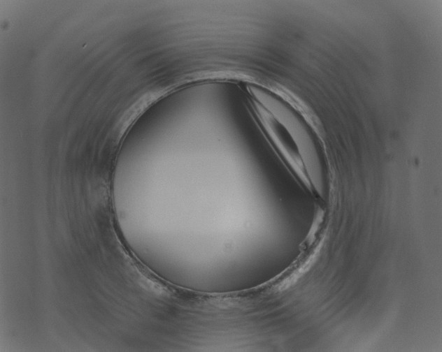 X0000073460993200608251727