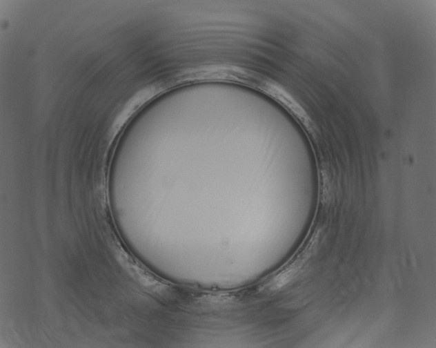 X0000073460994200608251727