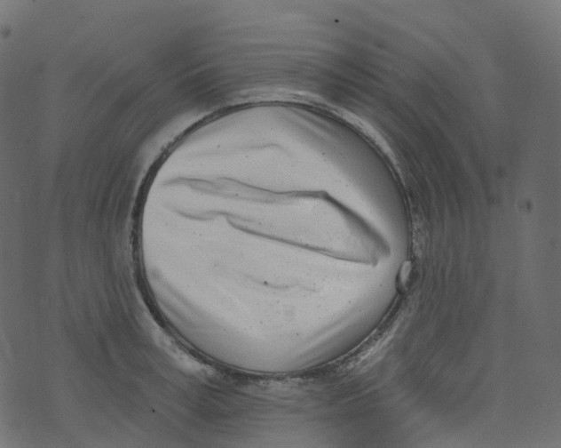 X0000073460995200608251727