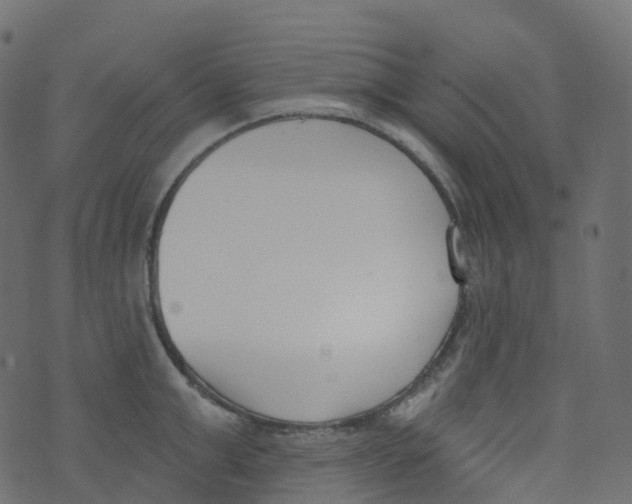 X0000073460999200608251727