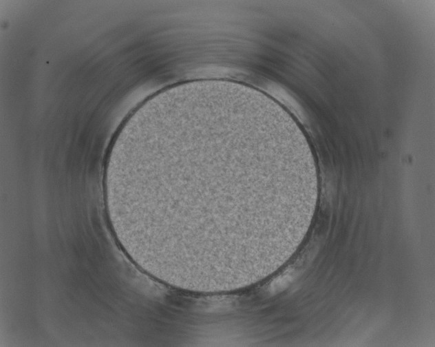 X0000073461000200608251727