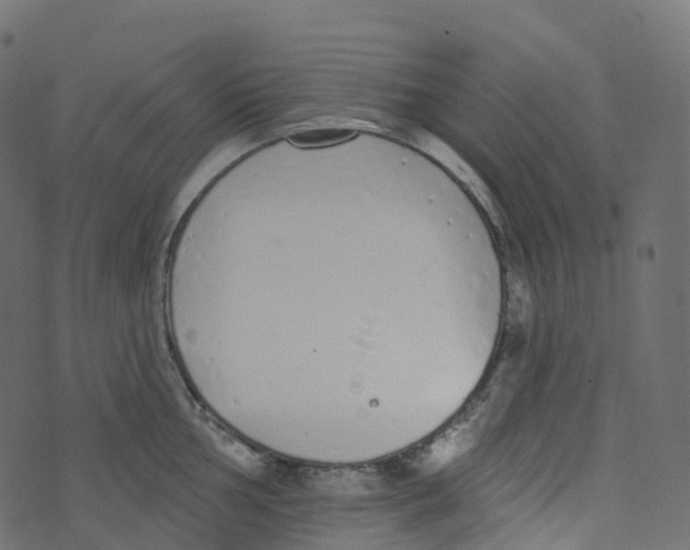 X0000073461002200608251727