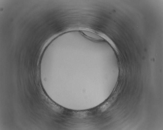 X0000073461004200608251727