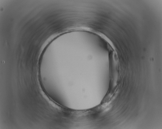 X0000073461005200608251727