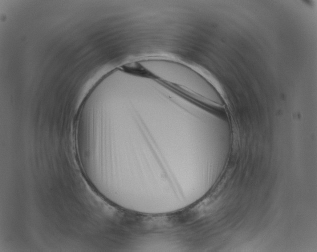 X0000073461006200608251727