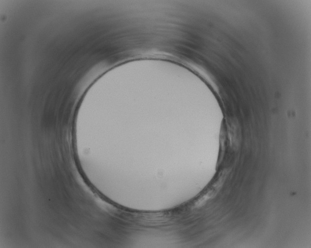 X0000073461007200608251727