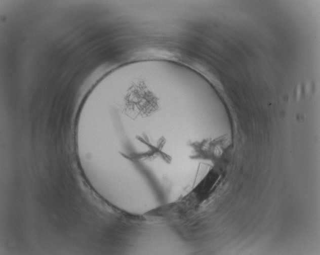 X0000073461008200608251727