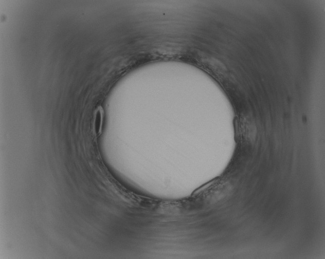 X0000073461009200608251726