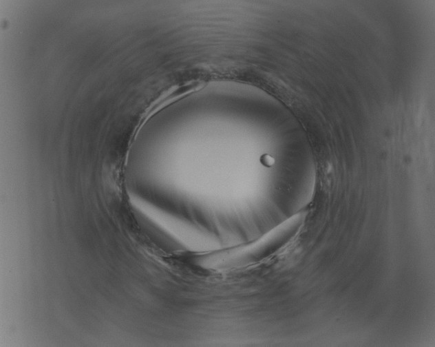 X0000073461010200608251726