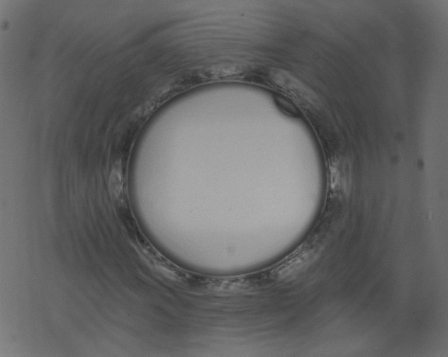 X0000073461011200608251726