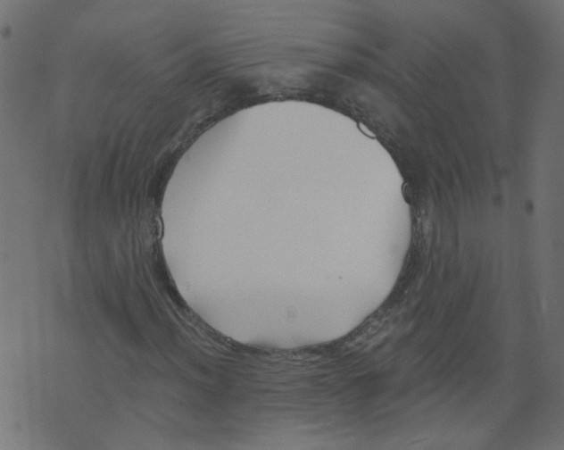 X0000073461012200608251726