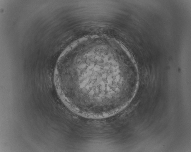 X0000073461013200608251726