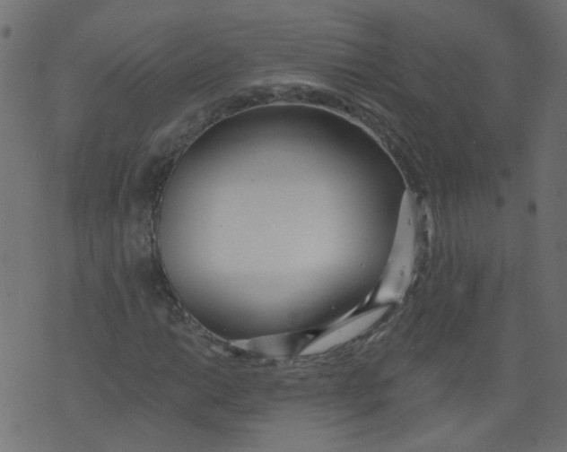 X0000073461014200608251726