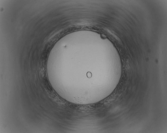 X0000073461015200608251726