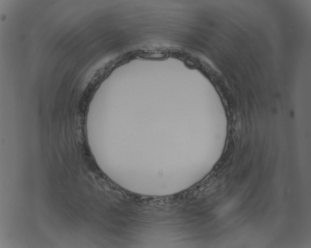 X0000073461016200608251726