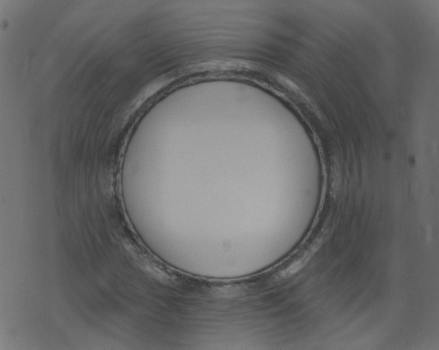 X0000073461017200608251726