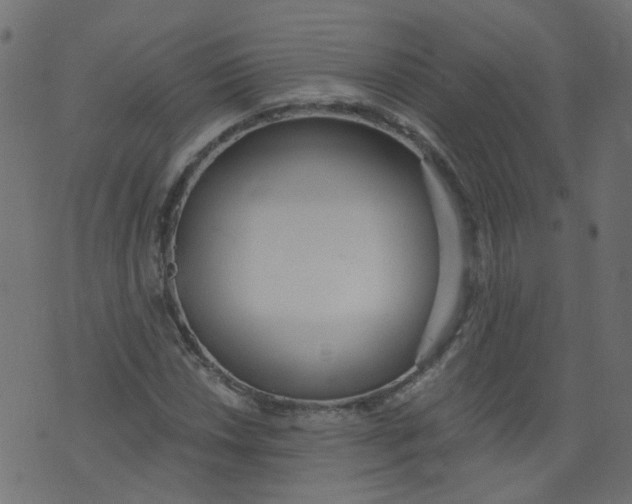 X0000073461018200608251726