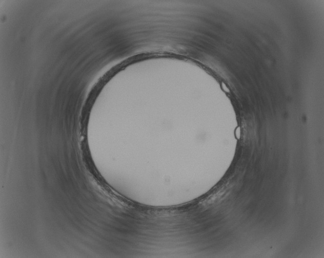 X0000073461020200608251726