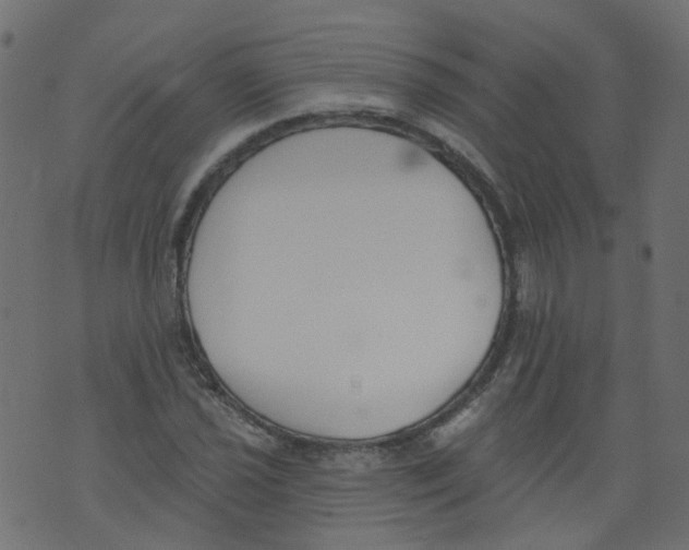 X0000073461021200608251726