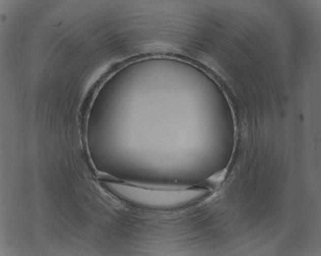 X0000073461022200608251726