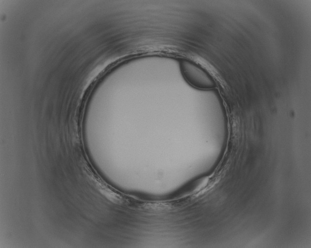 X0000073461023200608251726