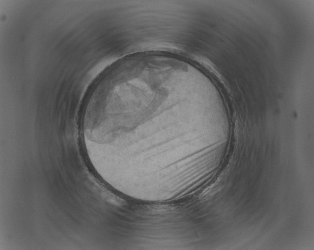 X0000073461024200608251726