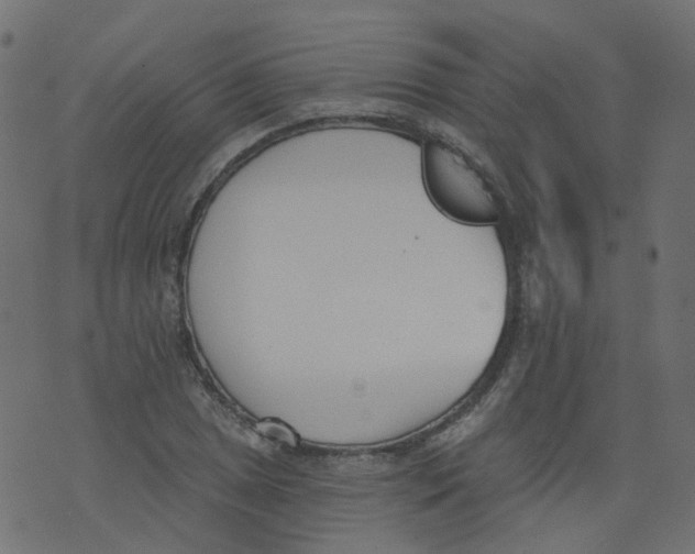 X0000073461025200608251726