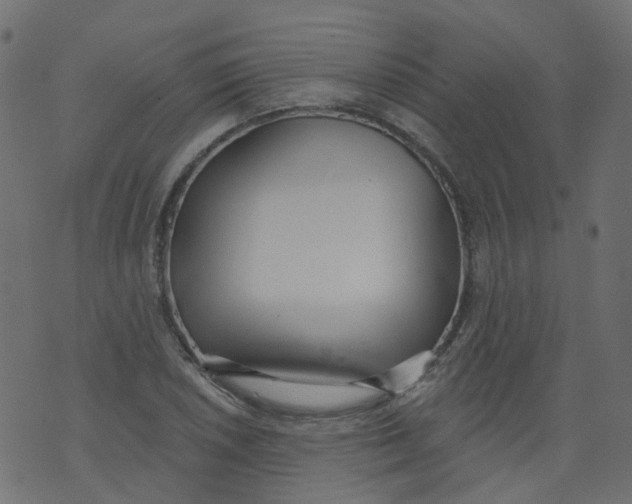 X0000073461026200608251726