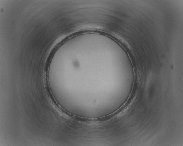 X0000073461029200608251726