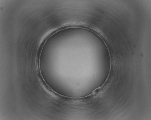 X0000073461030200608251726