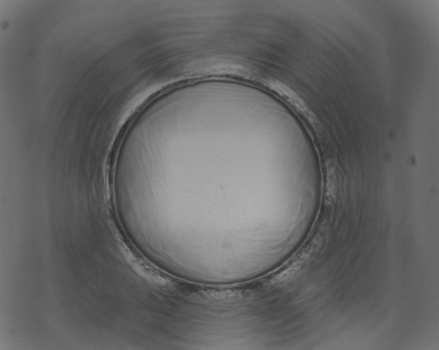 X0000073461031200608251726