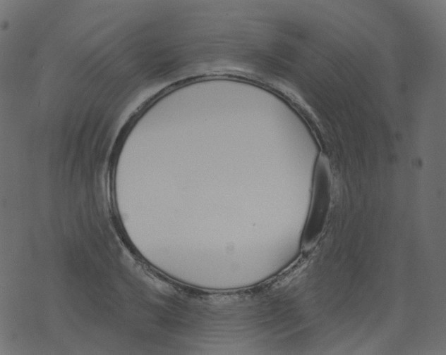 X0000073461032200608251726