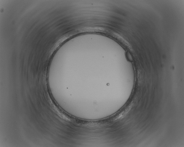 X0000073461033200608251726