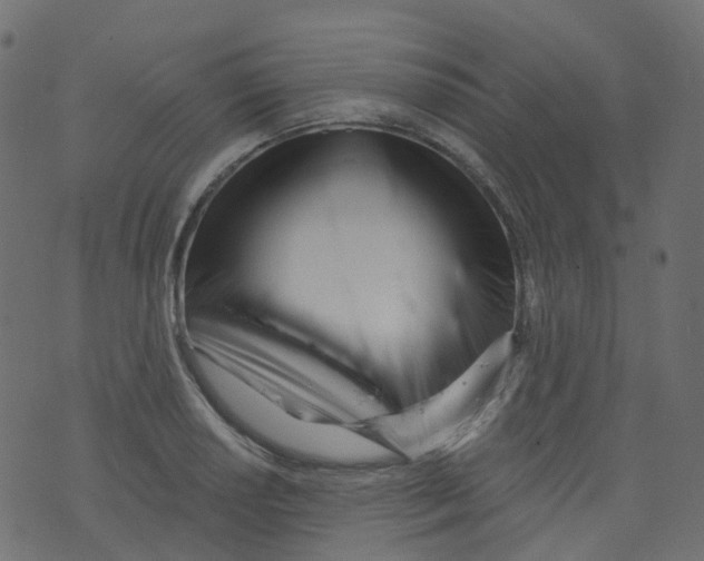 X0000073461034200608251726