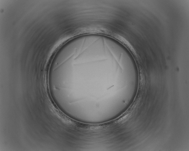 X0000073461035200608251726