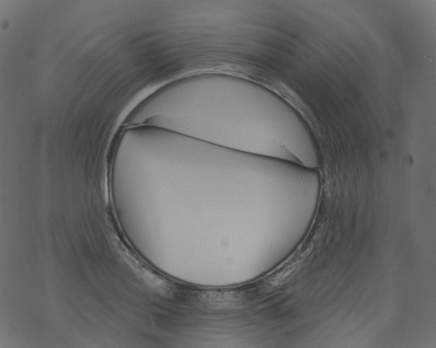 X0000073461036200608251726