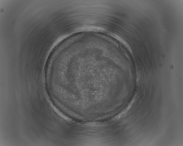 X0000073461037200608251726