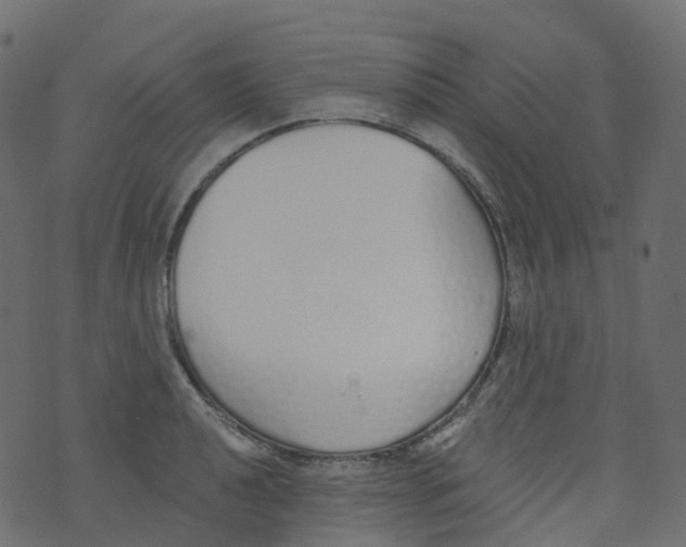 X0000073461040200608251727