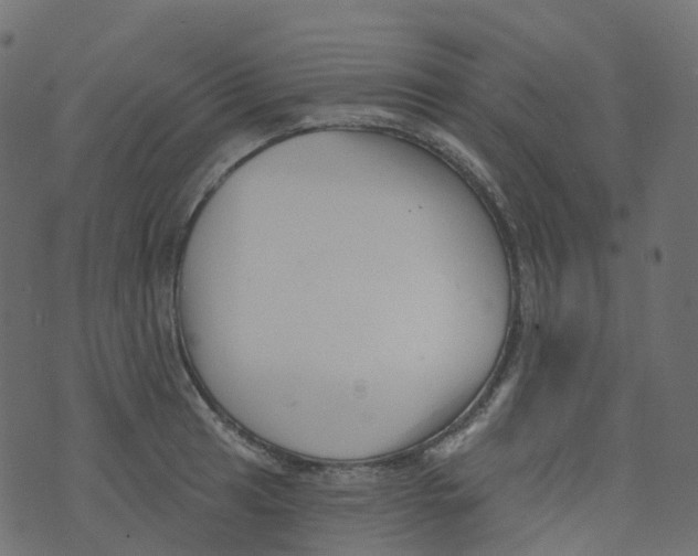 X0000073461041200608251727