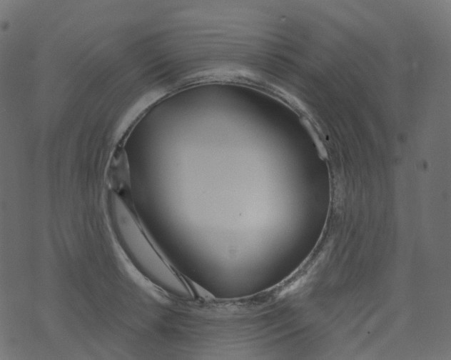 X0000073461042200608251727