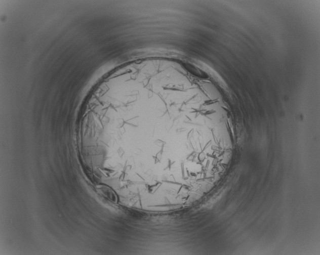 X0000073461043200608251727