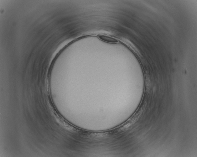 X0000073461044200608251727